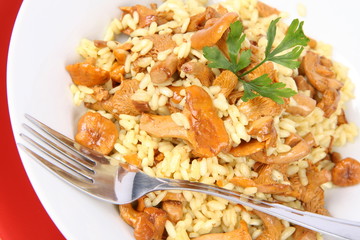 Risotto with mushrooms decorated with parsley and a fork