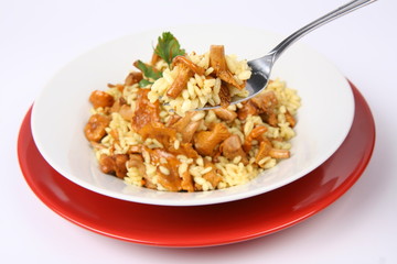 Risotto with mushrooms with parsley being eaten with a fork