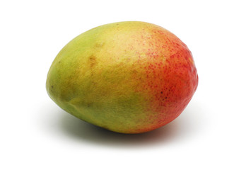 mango fruit