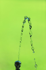 公園の水飲み場