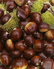 Maronen mit Früchten