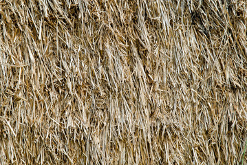 straw, hay background