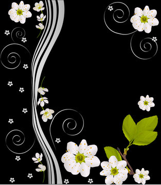 white cherry flower design on black