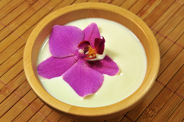 Obraz na płótnie Canvas Orchidea pływające w mleku w drewnianej misce