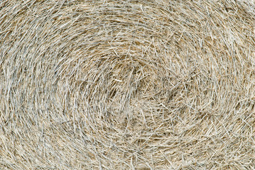 straw, hay background