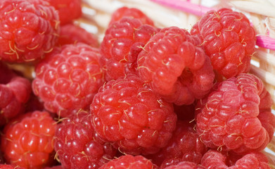 Fresh raspberry