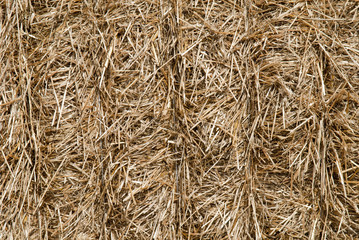 straw, hay background