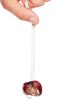 Single conker on a string