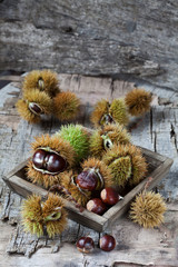Herbst