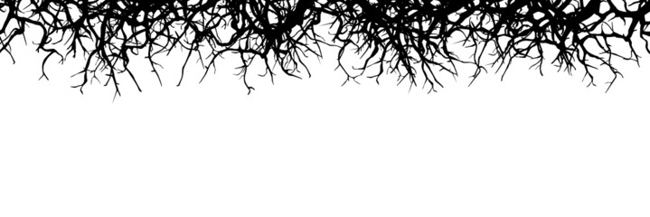 Silhouette von trockenen Zweigen - Designelement - obrazy, fototapety, plakaty