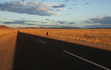 rencontre dans le desert