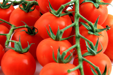 Tomaten