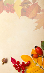 Naklejka na ściany i meble autumn background with copy-space