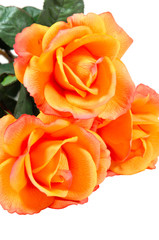 Artificial Roses Close-up