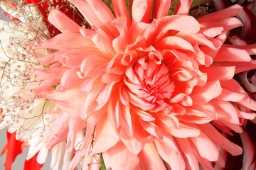 Flower Fantasy from Dahlias