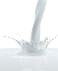 Milk Splash