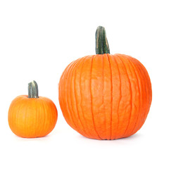 Two pumpkins on white