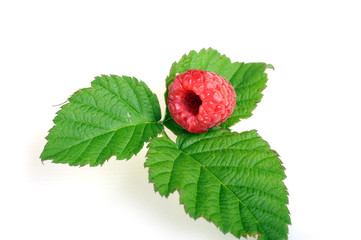 Ripe red raspberry