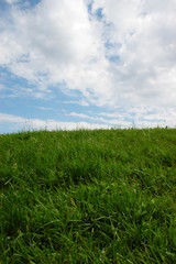 Grass and sky