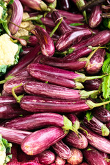 eggplants in the market