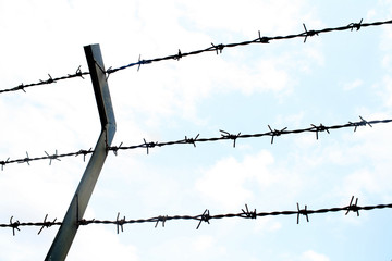 close up Barbed wire Fence and clear sky