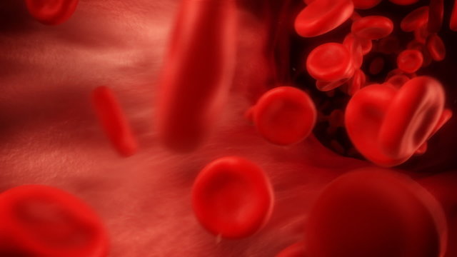 Blood Flow