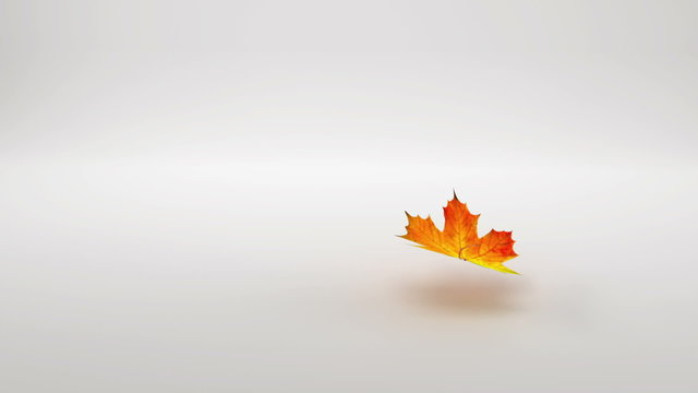 Leaf falling