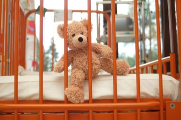 Teddy within hospital
