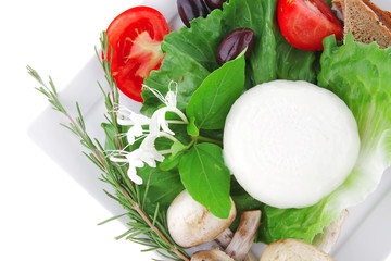 mozzarella cheese and tomatoes