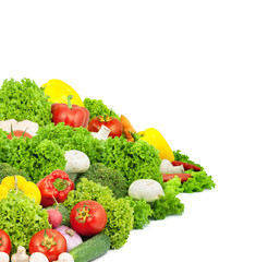 Assorted fresh vegetables
