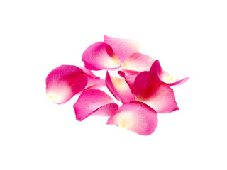 Obraz na płótnie Canvas Rose Petals