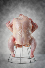 fresh uncooked chicken