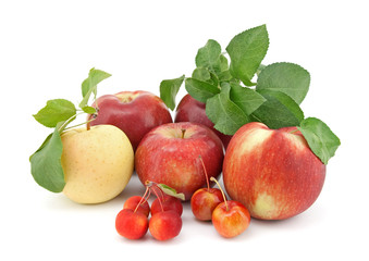 Variety of apples on white background