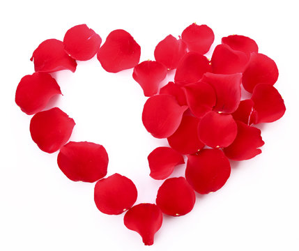 rose petals in heart symbol isolated on white