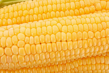 Yellow corns