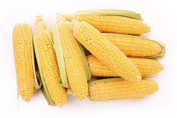 Few corn isolated on white