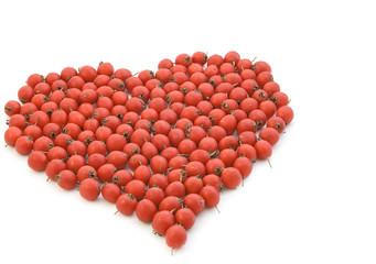 Hawthorn on a white background.