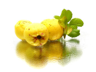 Japanese quince fruit