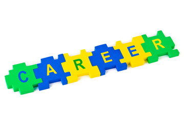 Puzzle Career