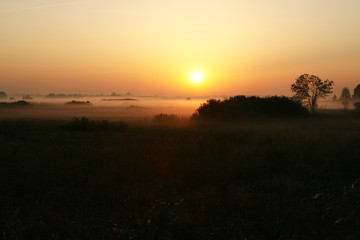 Fototapeta na wymiar European savanna