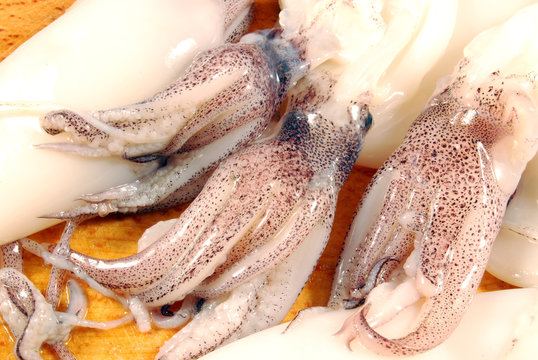 Calamari e ciuffi 006