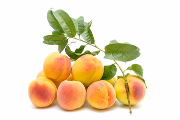 fresh peaches