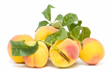 Fototapeta na wymiar ecological peaches
