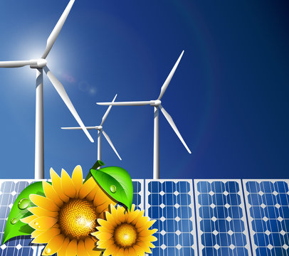 renewable energy sunflowers