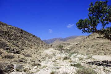 Fototapeta na wymiar Kamiennych pustyni