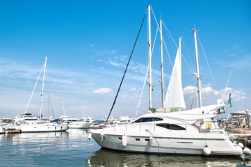 Obraz premium yachts at sea port