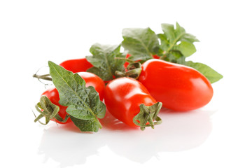 fresh tomatoes