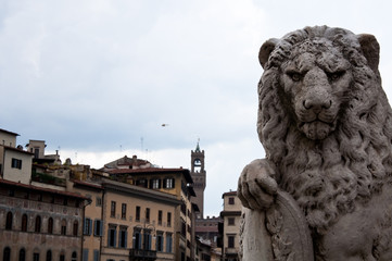 Florence,the most beautiful italian town.