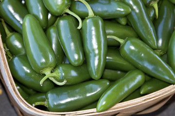 Hot Peppers in a Basket