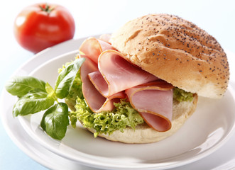 Tasty sandwich with ham
